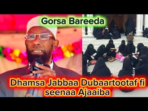 Dhamsa Jabbaa Dubaartootaf Fi Seenaa Ajaaiba Sheikh Amiin Ibroo