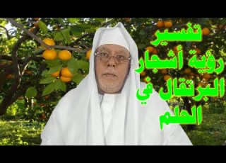 تفسير رؤية أشجار البرتقال في الحلم