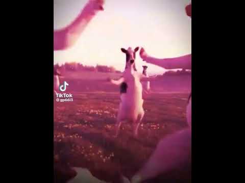 الي اسمه حوراء تكتبله اسمه بل تعليقات لان خلي اسمه حوري