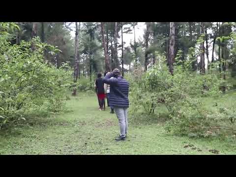 Magaidi Wakakubali Watatupeleka Mahali Wameficha Kokoto