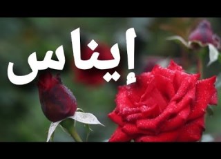  أغنية أسم إيناس إيناس