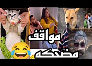 فيديوهات مضحكه حلال فيها فلوس النت ـ اضحك من قلبك ـ مواقف مضحكه جداا Funny كوميديا