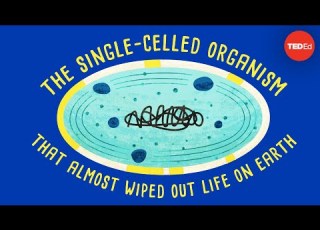 How A Single Celled Organism Almost Wiped Out Life On Earth Anusuya Willis