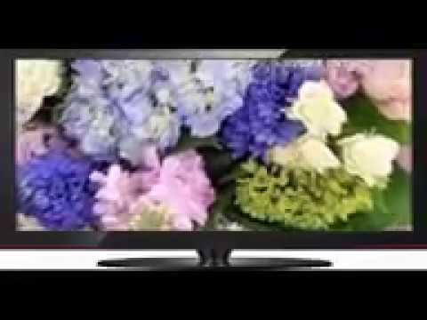 Dhifama Huseen Qilxaa Nashiidaa Afaan Oromoo 12 2018