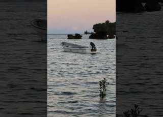  Mental Activation Through Sea Talking And Singing 2027 Nimbaya