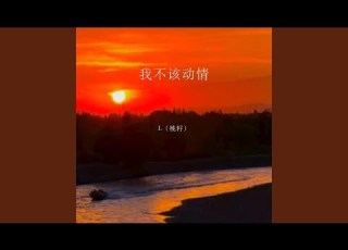 我不该动情 R B版