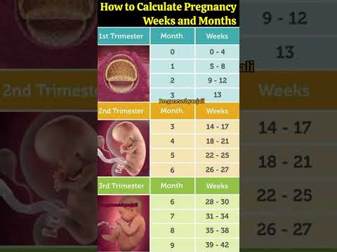 How To Calculate Pregnancy By Weeks Months And Trimester Shorts Pregnancy Cutebaby How To Calculate Pregnancy By Weeks Months And Trimester Shorts Pregnancy Cutebaby