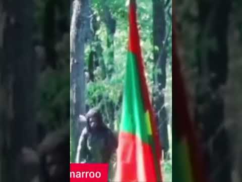 Hassawwaa Jaal Marroo Dhageffadhaa Me