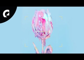 Adelyn Paik Snow Flower