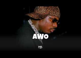  AWO Asake Amapiano Type Beat Afrobeat Instrumental 2026