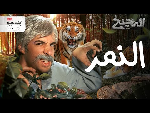 النمر الدحيح