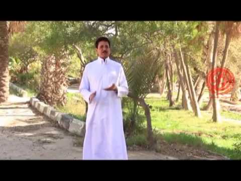 فتحى بو غريبيل مش كل الطير خالد العمامى