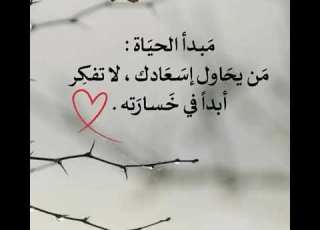 م بدأ الحي اة م ن يح اول إس ع ادك لا تفك ر أبدا في خ سار ته نصيحة لك نصيحة اليوم همسة اليوم