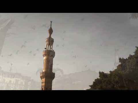 مالي سواك يا عزيزي وائل الفشني تصوير تحفه