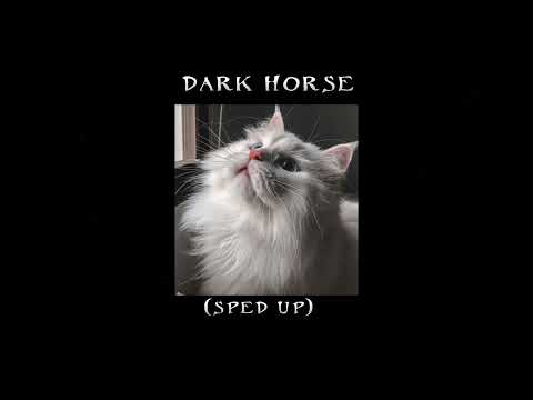Katy Perry Dark Horse Sped Up