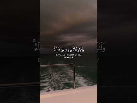 تلاوة خاشعة للشيخ ياسر الدوسري قالب قرآن