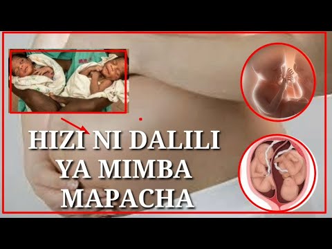 HIZI NDIYO DALILI ZA MIMBA YA MAPACHA