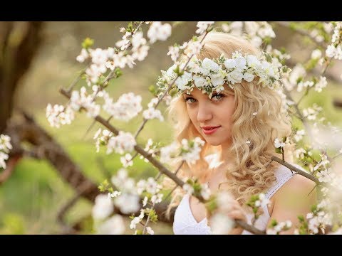 Черемха біла Ukrainian Song