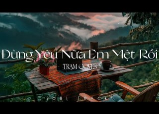 Đừng Yêu Nữa Em Mệt Rồi Người Tôi Yêu Yêu Là Tha Thu Những Bản Nhạc Acoustic Nhẹ Nhàng Cực Chill