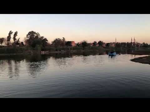 معدية شبرا اليمن