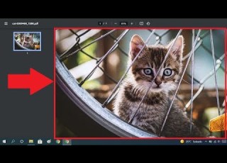  How To Convert JPG To PDF Without Programs Easily And Quickly