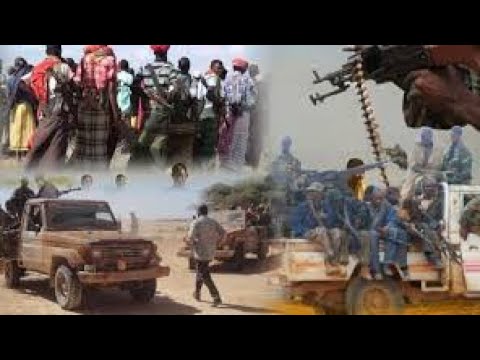 DEGDEG Dagaal Lagu Hoobtay Oo Ka Dhacay Degmada Shilaabo Khasaare Tira Beel Ah Rasaasta Oo Weli