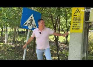  Așa Se Toacă Banii Trecere De Pietoni MODE L Din Gard în Huci Pentru Furnici Mergea Un GIRATORIU