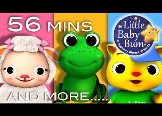 Animal Plus Lots More Nursery Rhymes 56 Mins Compilation From LittleBabyBum