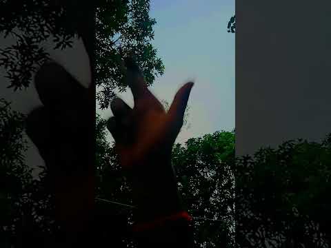 Mae Rab Se Chhin Laugi Hindi Song