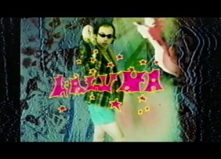  Laguna Zebra Official Video