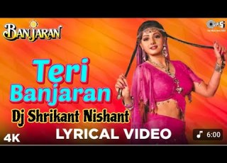 TERE BANJARAN RASTA DEKHE DJ REMIX Shrikant DJ New Full Bass Hard Mix 2025 Hindi Old Is Song