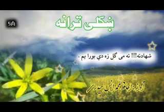 شهادته ته مى ګل زه دى بورا يم ښکلى ترانه ښکلى طرز آواز الحافظ محمد انس حيدرى