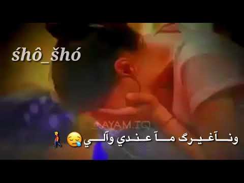 شهاده من ديني احلام اليمني تصميمي
