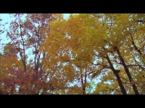 Turkish Instrumental Music