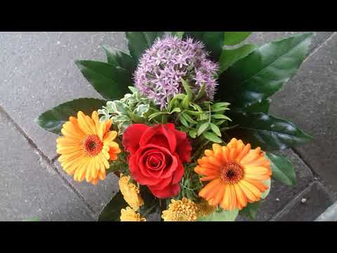 عاطف السماني تسجيل قديم