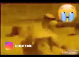  بيشا لو دلو بسمامو ولاتي غريبي تي حال ات من نما