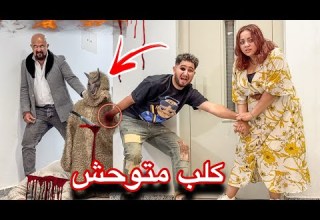 كلب شرس هجم على خطيبة يوسف النني عم شكشك مات في المكان المهجور