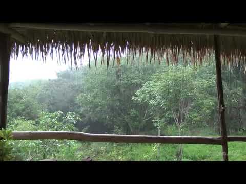 المطر صوت المطر والرعد اصوات الطبيعة اصوات الطبيعة للنوم الاسترخاء ماء