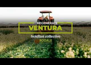 Where Regeneration Takes Root Regenerate Ventura