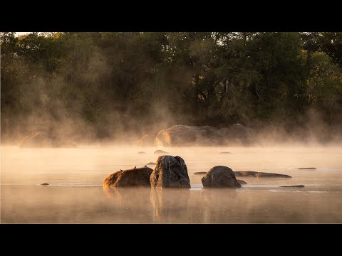 Misty Morning At Kaingu Lodge