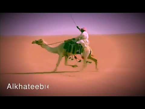 ياخوي ليت الليالي على الكيف