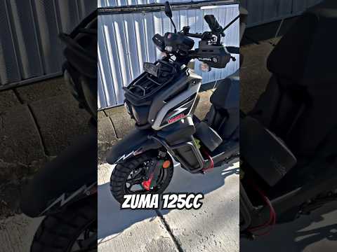2024 Yamaha Zuma 125cc Yamaha