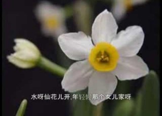四季歌 青海民歌 周小燕演唱
