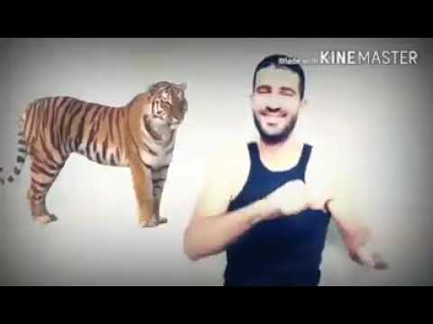 جديد عبد الرحمان جلطي في فيديو كليب جديد 2018