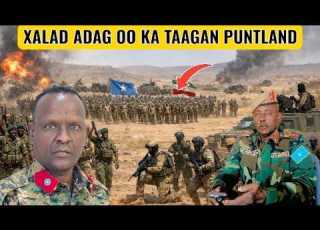DEG DEG XALAD ADAG OO LAGA DAREEMAYO PUNTLAND ABAABUL CIDAN CULUS OO SOCDA IYO TALIYE JIMCALE GAROW