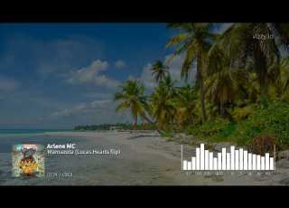  Arlene MC Mamazota Lucas Hearts Tech House Flip