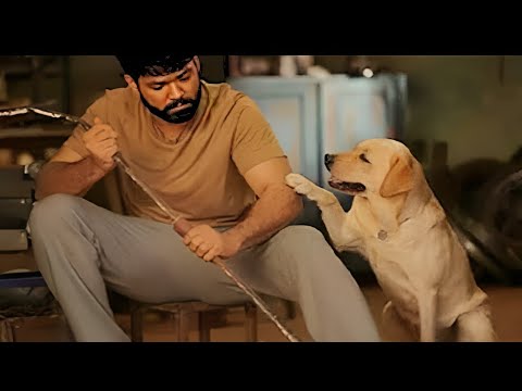 أكتر فيلم خلاني ابكي عن كلب دخل في حياة شخص يائس و يتيم و غيرله حياته كلها لكن النهاية هتبقي مفاجأة أكتر فيلم خلاني ابكي عن كلب دخل في حياة شخص يائس و يتيم و غيرله حياته كلها لكن النهاية هتبقي مفاجأة