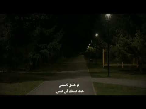 بتشبه عليا مش فاكر عينيا حالات واتس ستوريات انستا بدون موسيقى بدون موسيقى ستوريات لايك