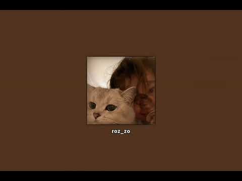 اغنية تحت سابع ارض بدون موسيقى AL SHAMI