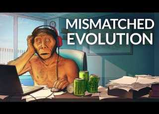  Are Humans Badly Designed For Modern Life